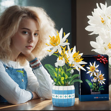 Load image into Gallery viewer, Under Epiphyllum Artificial Flowers Bouquet for Adults, Flower Building Sets with Vase, Home Decor, Mother's Day, Valentine's Day Gifts for Her or Him