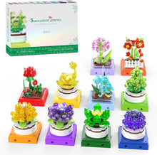 Load image into Gallery viewer, Educiro 10 Pack Succulent Plant Building Set Botanical Collection for Home Decor