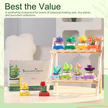 Load image into Gallery viewer, Educiro 10 Pack Succulent Plant Building Set Botanical Collection for Home Decor