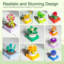 Load image into Gallery viewer, Educiro 10 Pack Succulent Plant Building Set Botanical Collection for Home Decor
