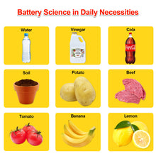 Load image into Gallery viewer, Fruit Battery Science Experiment Kit - GP TOYS