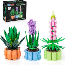 Load image into Gallery viewer, Flowers Toys Building Blocks for Adults, 3 Pack Botanical Collection Model Including Aloe Nobilis, Hyacinth, and Lupinus, Bonsai Plant
