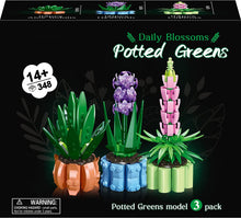 Load image into Gallery viewer, Flowers Toys Building Blocks for Adults, 3 Pack Botanical Collection Model Including Aloe Nobilis, Hyacinth, and Lupinus, Bonsai Plant