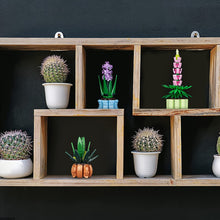 Load image into Gallery viewer, Flowers Toys Building Blocks for Adults, 3 Pack Botanical Collection Model Including Aloe Nobilis, Hyacinth, and Lupinus, Bonsai Plant