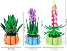 Load image into Gallery viewer, Flowers Toys Building Blocks for Adults, 3 Pack Botanical Collection Model Including Aloe Nobilis, Hyacinth, and Lupinus, Bonsai Plant