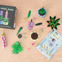 Load image into Gallery viewer, Flowers Toys Building Blocks for Adults, 3 Pack Botanical Collection Model Including Aloe Nobilis, Hyacinth, and Lupinus, Bonsai Plant