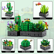 Load image into Gallery viewer, Succulents Plants Building Set for Adults - 5 Pack (590 Pieces), Valentines Day Gifts for Kids, Women,Her and Him, Botanical Collection Home Decor
