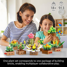 Load image into Gallery viewer, Flower Botanical Bonsai Building Set, Succulent Building Toys Block - 9 Pack, for Home Decor, Valentine&#39;s Day, Mother&#39;s Day, Christmas for Adults and Kids - 913pcs
